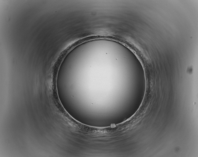 X0000097921315200803211519