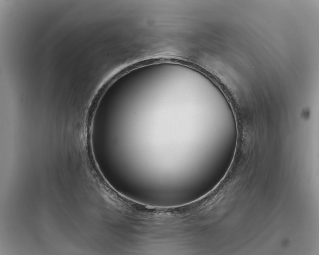 X0000097921316200803211519