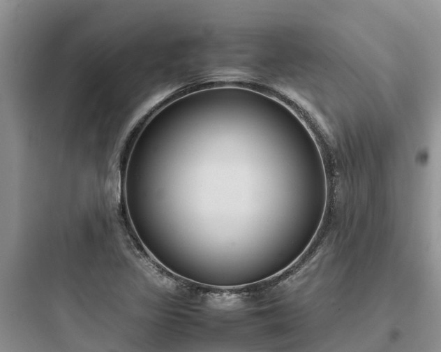 X0000097921317200803211519