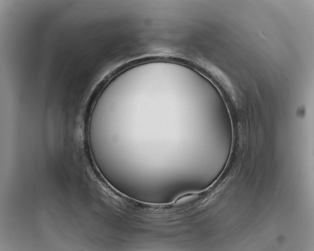 X0000097921318200803211519