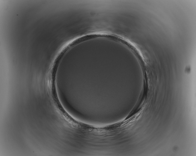 X0000097921319200803211519