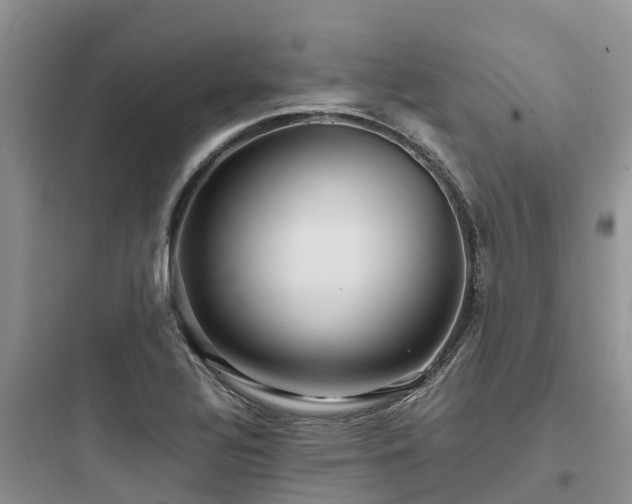 X0000097921320200803211519
