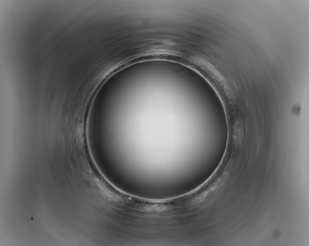 X0000097921321200803211519