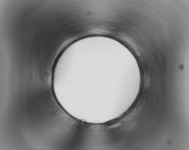 X0000097921322200803211519