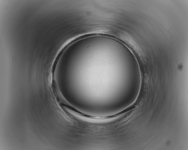X0000097921324200803211519