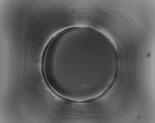 X0000097921327200803211519