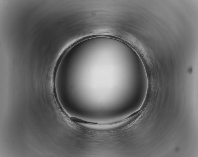 X0000097921328200803211519