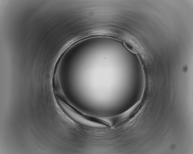 X0000097921330200803211519