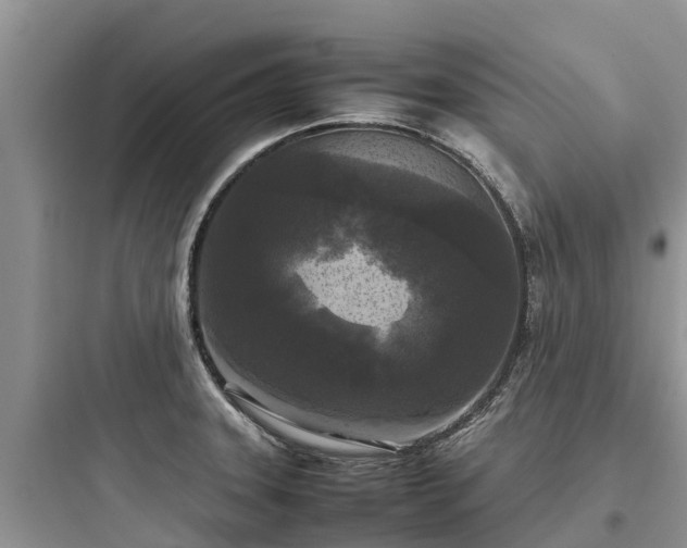 X0000097921331200803211519