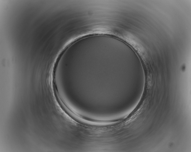 X0000097921334200803211519