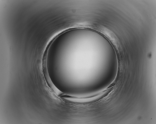 X0000097921336200803211519