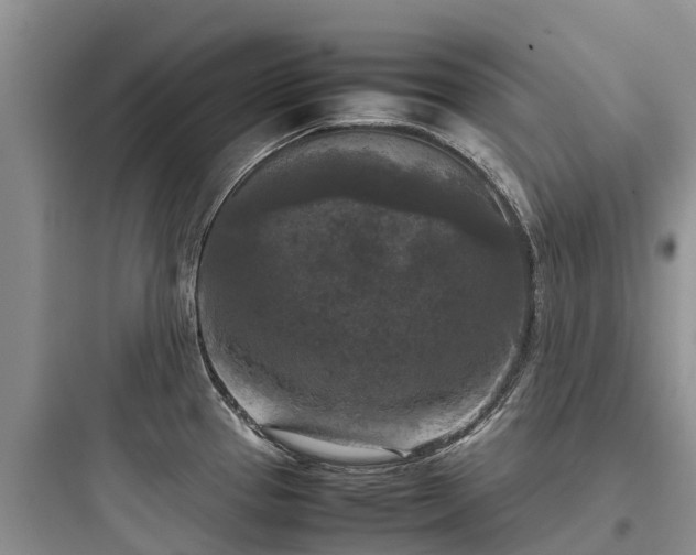 X0000097921337200803211519