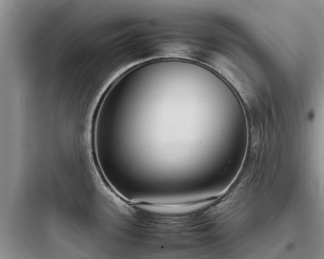 X0000097921339200803211519