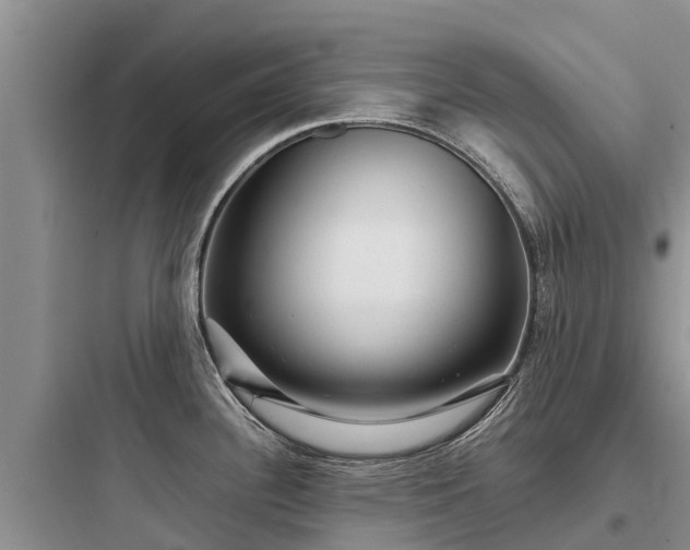 X0000097921340200803211519