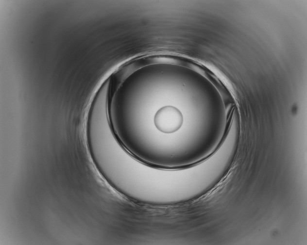 X0000097921341200803211519