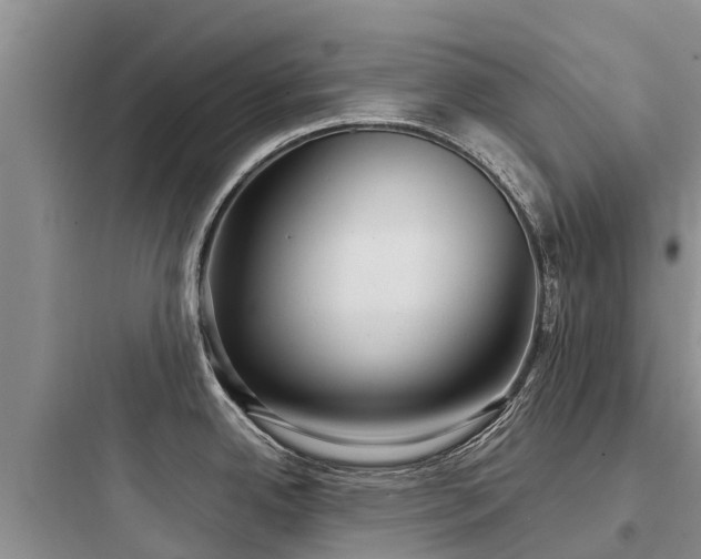 X0000097921342200803211519