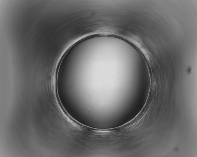 X0000097921343200803211519