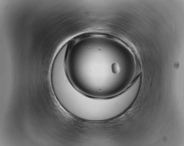 X0000097921344200803211519