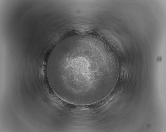 X0000097921346200803211518