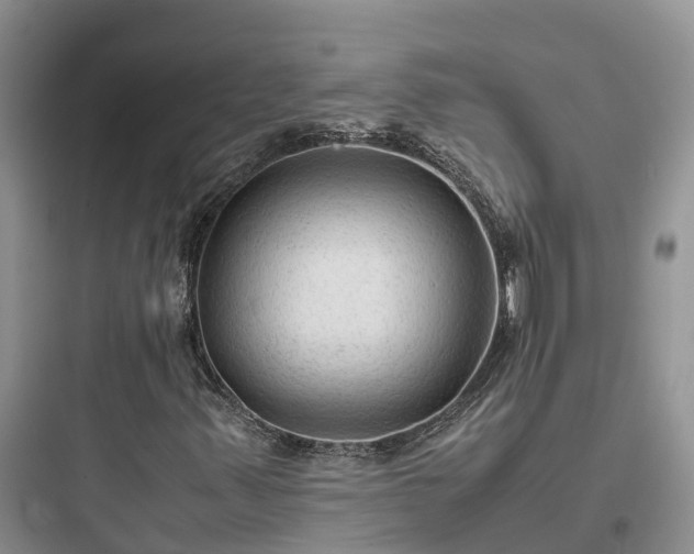 X0000097921347200803211518