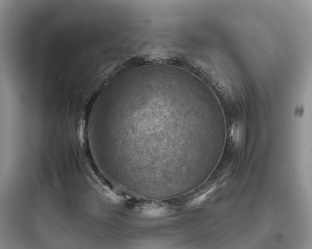 X0000097921348200803211518
