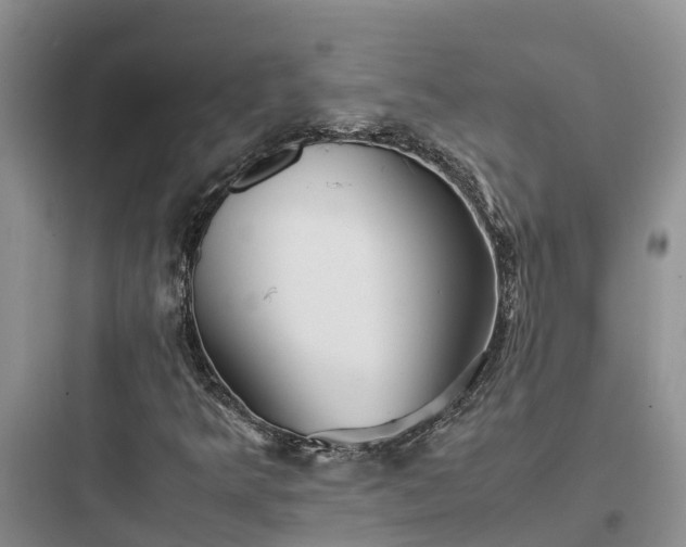 X0000097921349200803211518