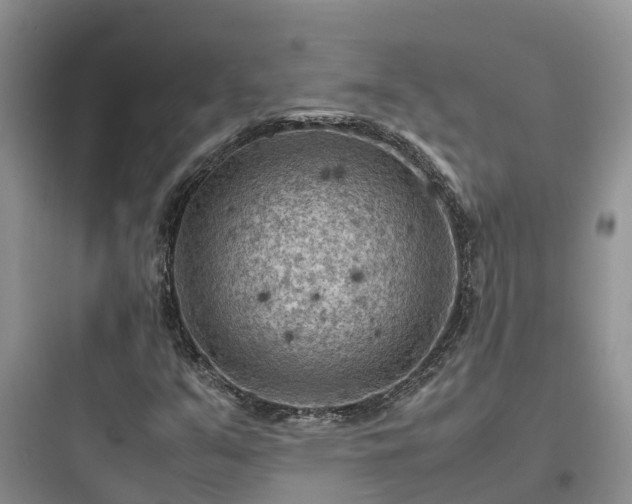 X0000097921351200803211518
