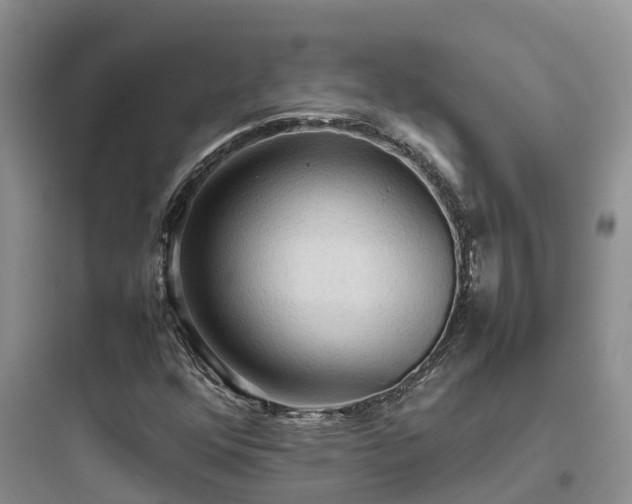 X0000097921352200803211518