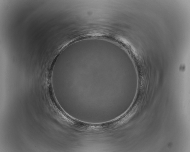X0000097921353200803211518