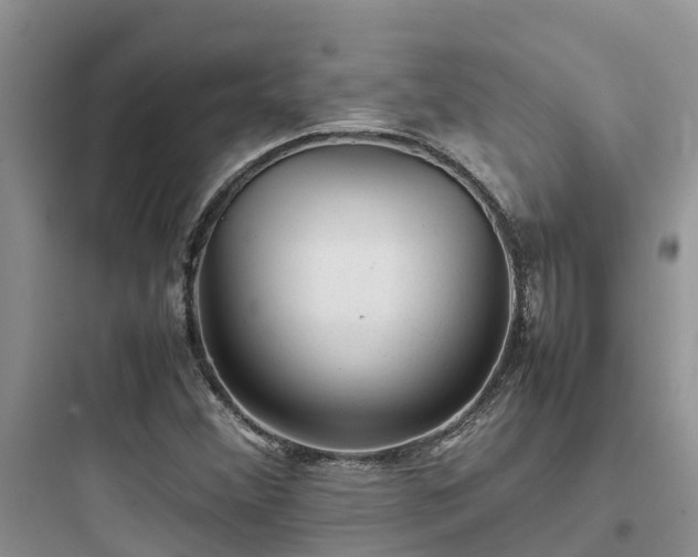 X0000097921356200803211518
