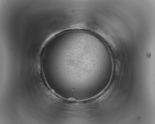 X0000097921358200803211518