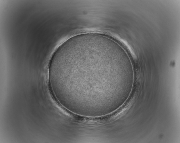 X0000097921365200803211518