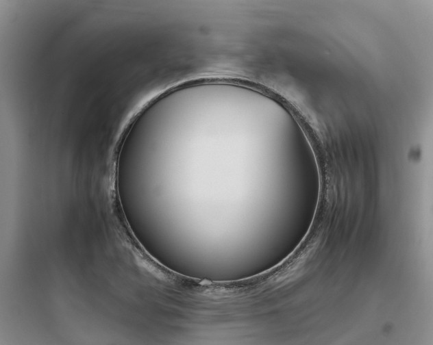 X0000097921366200803211518