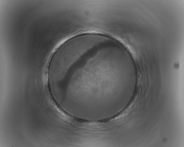 X0000097921367200803211518