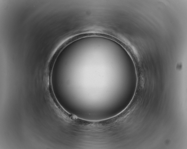 X0000097921368200803211518