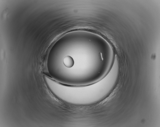 X0000097921369200803211518