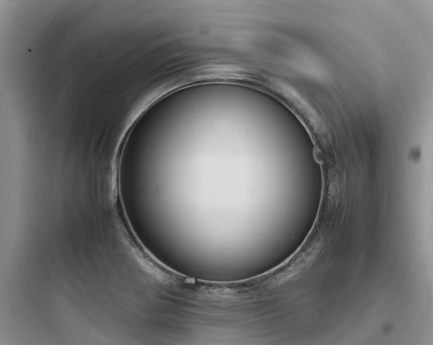 X0000097921370200803211518