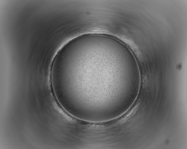 X0000097921374200803211518