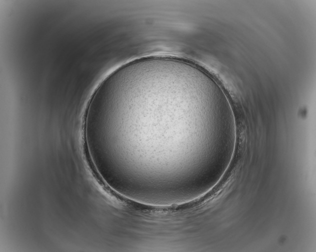 X0000097921375200803211518