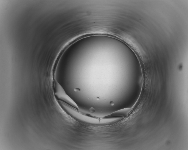 X0000097921380200803211518