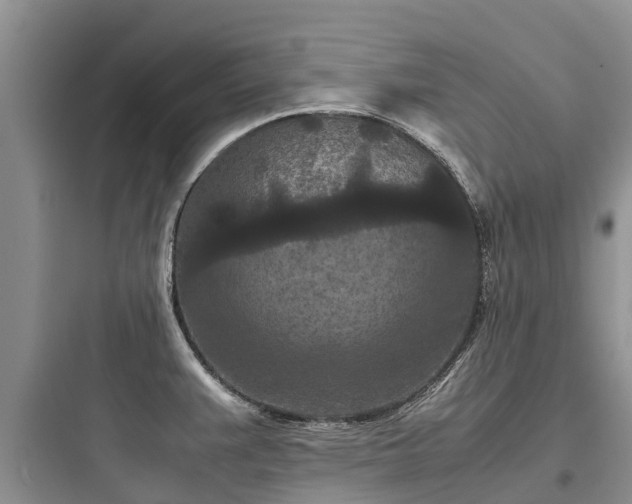 X0000097921383200803211518