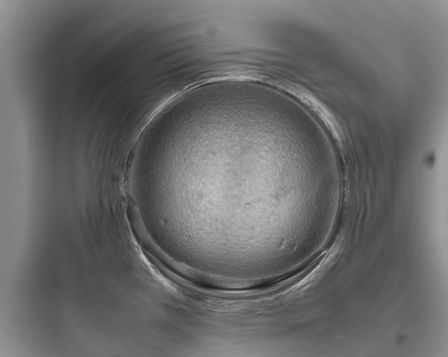 X0000097921385200803211518
