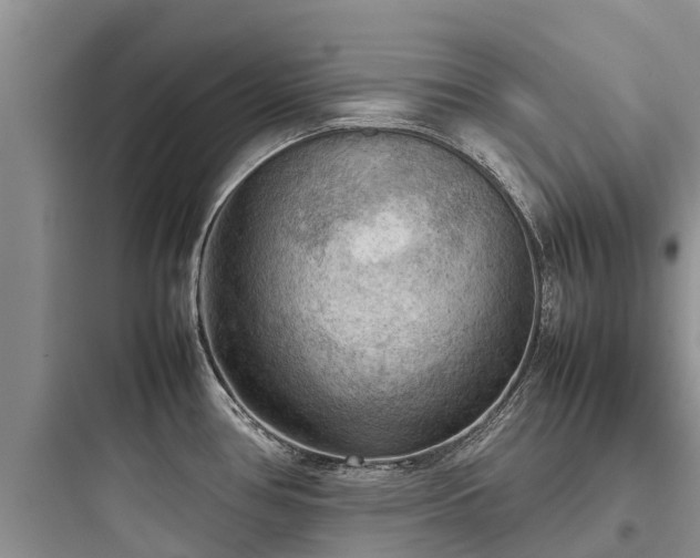 X0000097921386200803211518