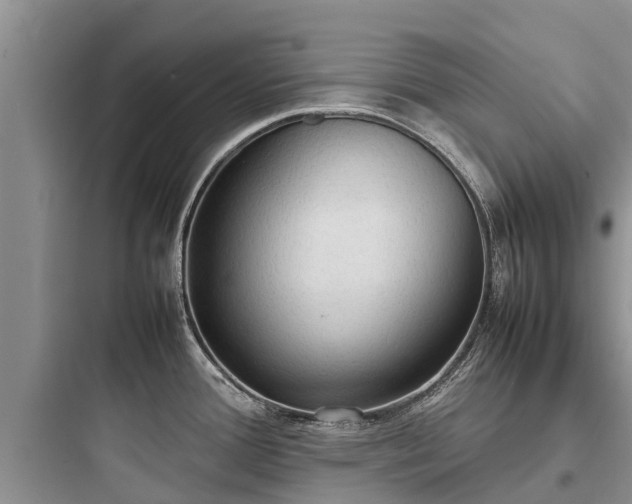 X0000097921388200803211518