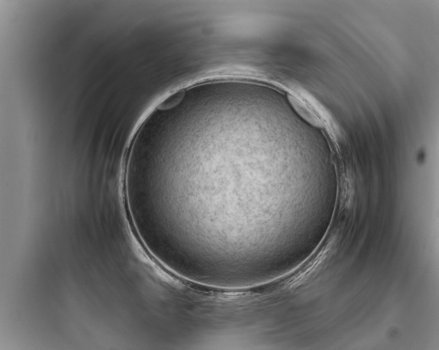 X0000097921390200803211518