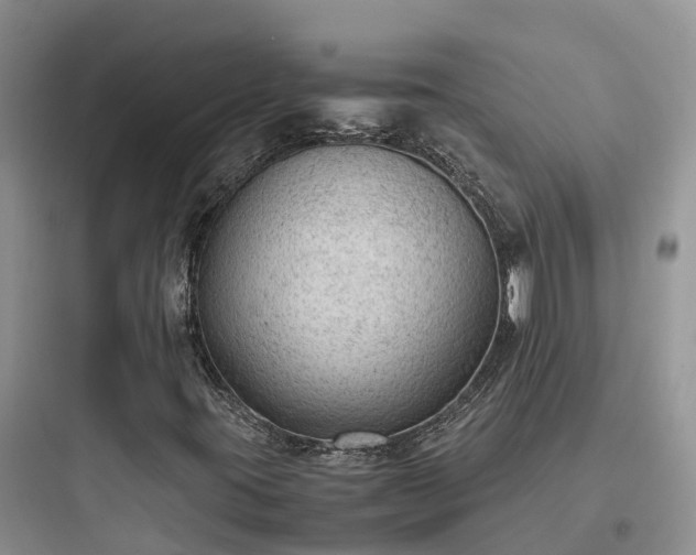 X0000097921395200803211517