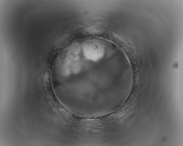 X0000097921397200803211517