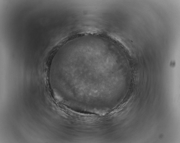 X0000097921399200803211517