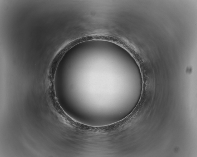 X0000097921400200803211517