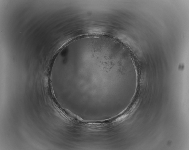X0000097921401200803211517
